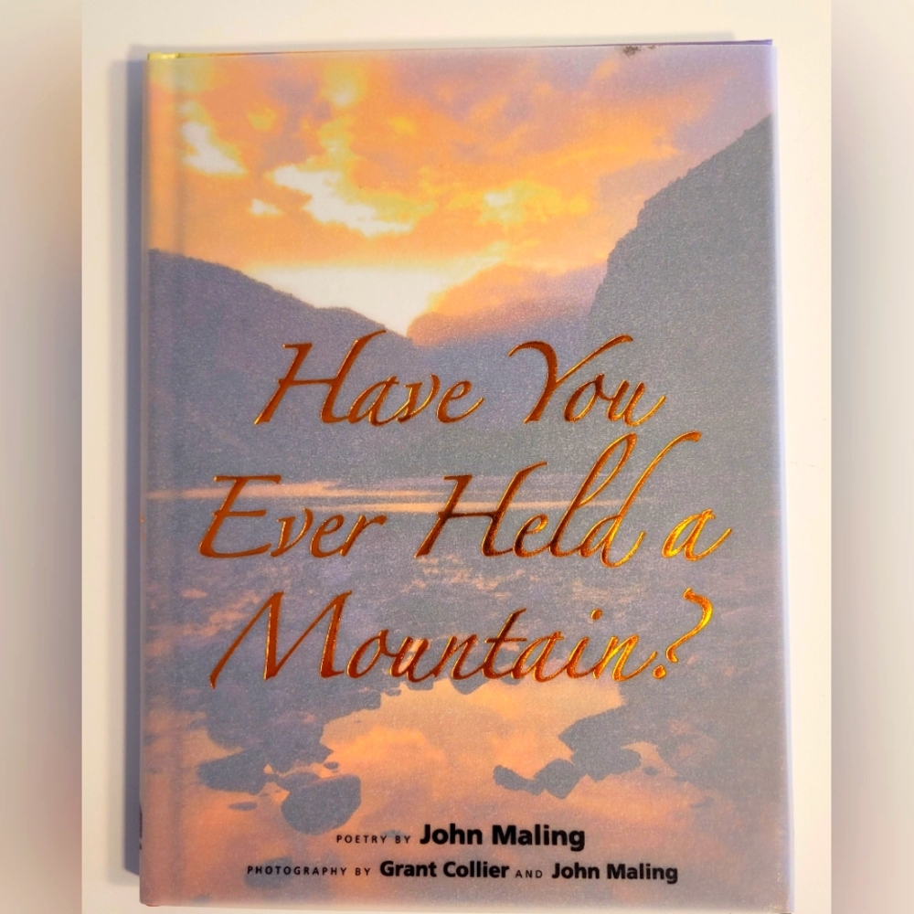 Have You Ever Held A Mountain? by John Maling